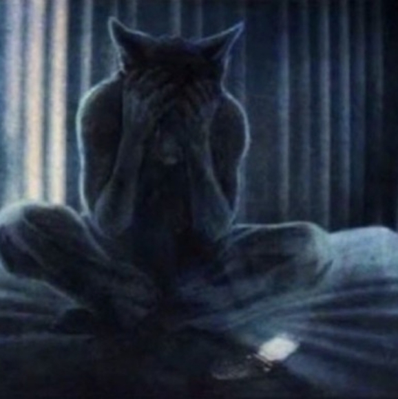 Meet your Posher, Zero - Picture 1 of 1